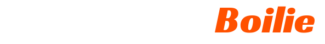 carperboysboilies logo header