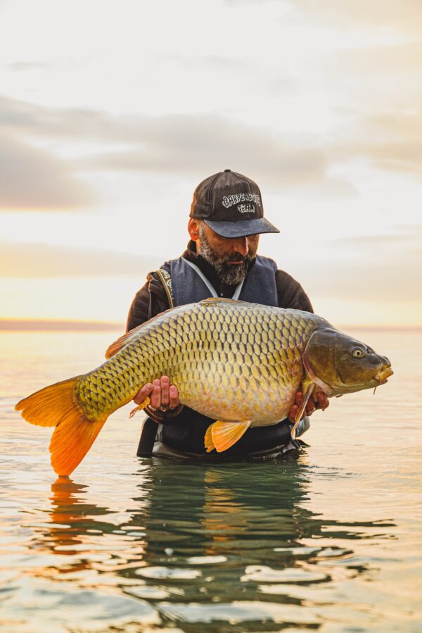 <p><strong>CarperBoys Fermented Banana Boilies für Karpfen Natürliche Köder in 3kg, 6kg Verpackung 🐟</strong></p> – Bild 5